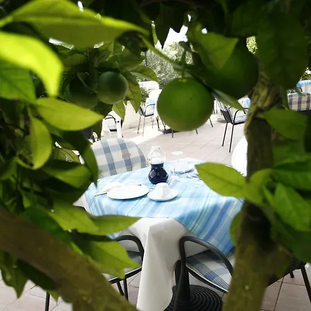 Marija Hotel